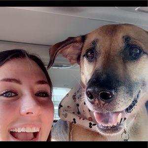 Meet your Posher, Alexis